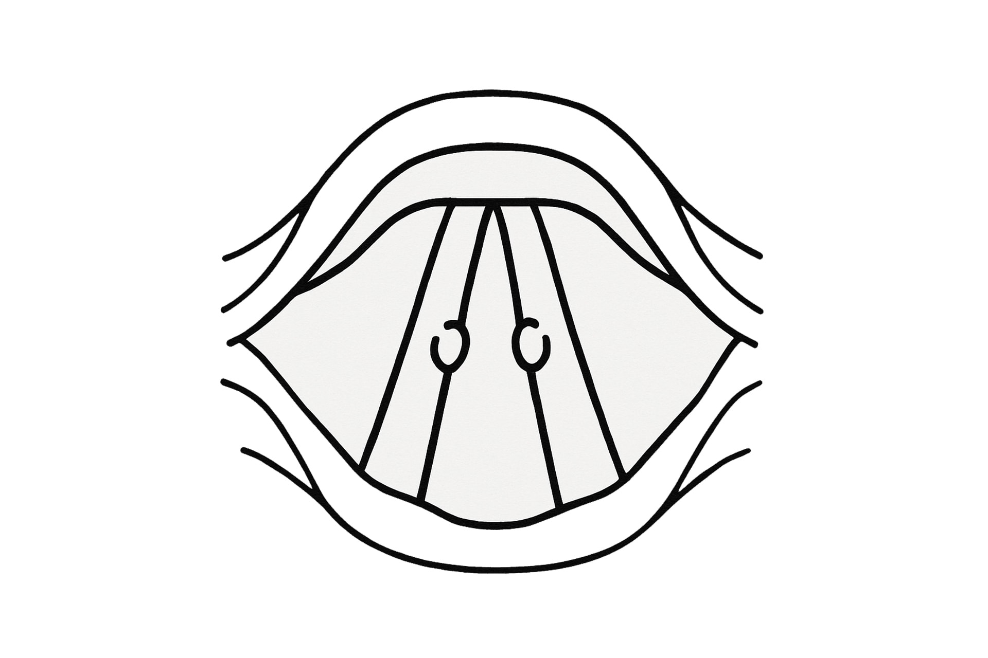 Stimmlippenknötchen als Abbildung / Piktogramm Stimmlippenknötchen als Abbildung / Piktogramm